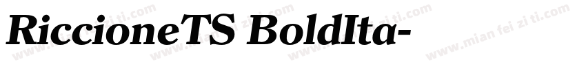 RiccioneTS BoldIta字体转换